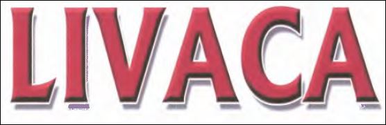 Livaca Device mark 6638838 Trademark