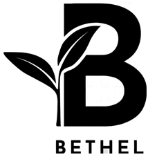 Bethel With B Logo Device mark 6643884 Trademark