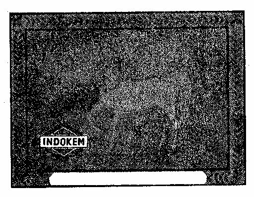 Indokem Device mark 220720 Trademark