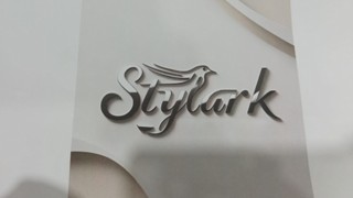Stylark Device mark 6648477 Trademark