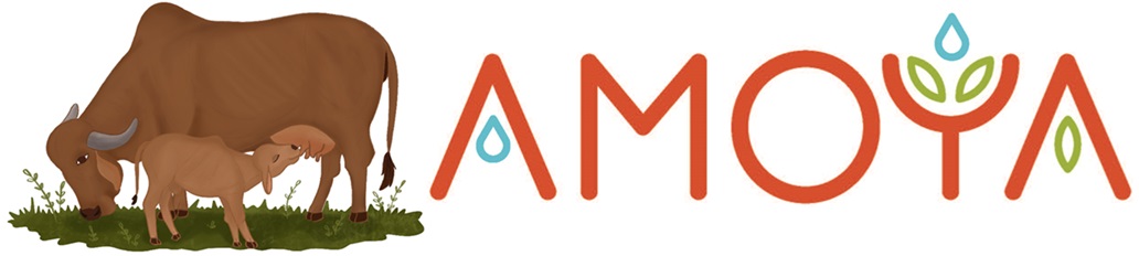 Amoya With Unique Honetics And Cow And Calf Logo Device mark 6651944 Trademark