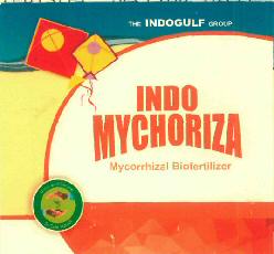 Indo Mychoriza Device mark 2975881 Trademark