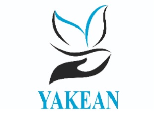 Yakean Device mark 6655829 Trademark