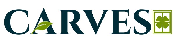 Carves Device mark 6656655 Trademark