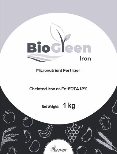 Biogreen Iron Device mark 6661187 Trademark