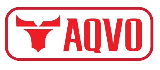 Taqvo Device mark 6661704 Trademark