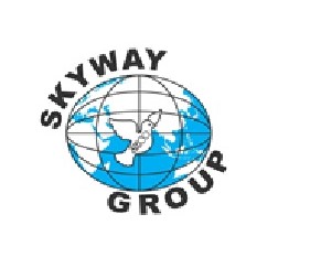 Skyway Group Device mark 6667769 Trademark