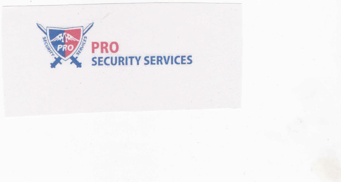 Pro Security Services Device mark 2460150 Trademark