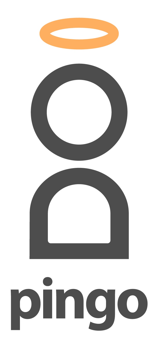 Pingo Device mark 6671254 Trademark