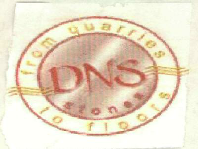 Dns (label) Device mark 2527493 Trademark