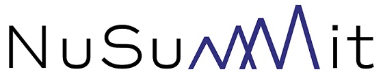 Nusummit Device mark 6675049 Trademark