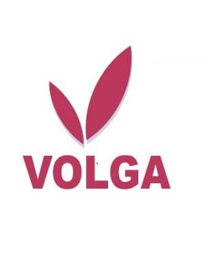 Volga Device mark 6679795 Trademark