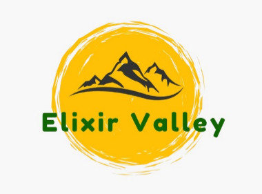 Elixir Valley Device mark 6682970 Trademark