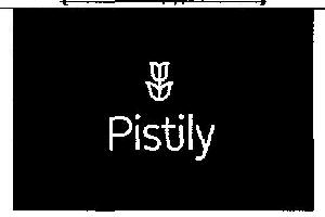 Pistily Device mark 2919144 Trademark