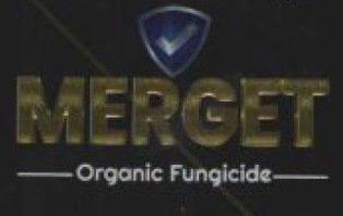 Merget Device mark 6684247 Trademark