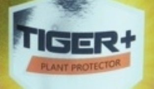 Tiger + Device mark 6684258 Trademark