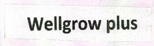 Wellgrow Plus Device mark 2656152 Trademark