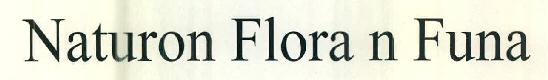 Naturon Flora N Funa Device mark 2932576 Trademark