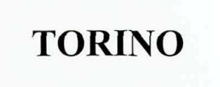 Torino Device mark 2666538 Trademark