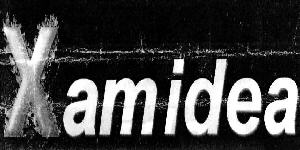 Xamidea (with Device) Device mark 2021978 Trademark