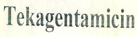Tekagentamicin Device mark 2804141 Trademark