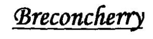 Breconcherry Device mark 2257437 Trademark