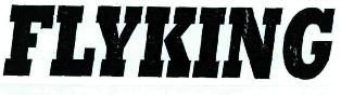 Flyking Device mark 2453373 Trademark