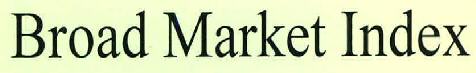 Broad Market Index Device mark 2308440 Trademark