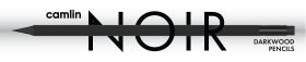 Camlin Noir Darkwood Device mark 6696640 Trademark