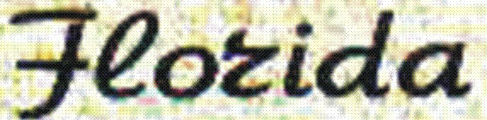Florida Device mark 2581246 Trademark