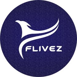 Flivez Device mark 6697455 Trademark