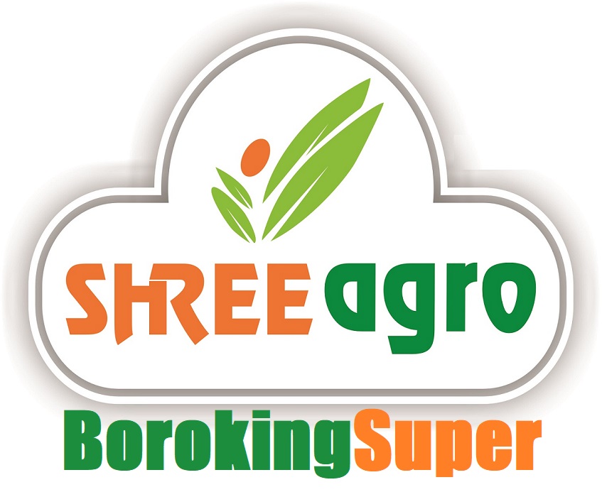 Shree Agro Borokingsuper Device mark 6700593 Trademark