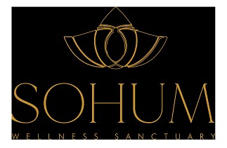 Sohum Wellness Sanctuary Device mark 6703391 Trademark