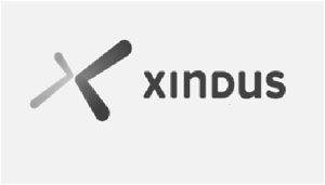 Xindus (with Device Of X) Device mark 6708596 Trademark