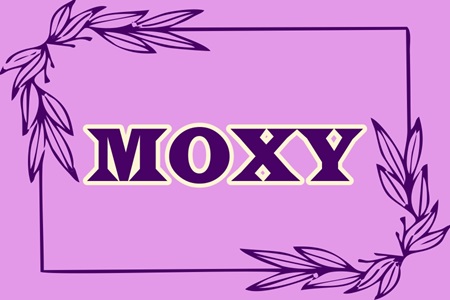 Moxy Inscribed In A Designed Rectangle Device mark 6716088 Trademark