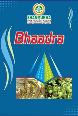 Bhaadra Device mark 6722760 Trademark