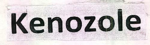 Kenozole Device mark 2656156 Trademark