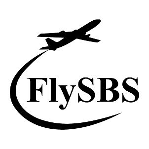 Flysbs Device mark 6725564 Trademark