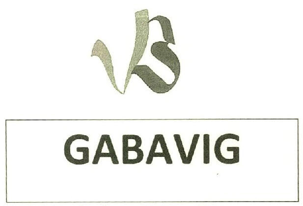 Gabavig Device mark 2746503 Trademark