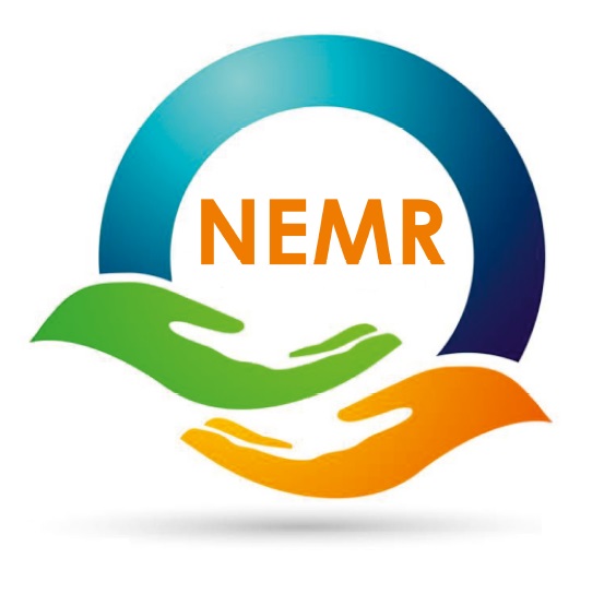 Nemr Device mark 6731301 Trademark