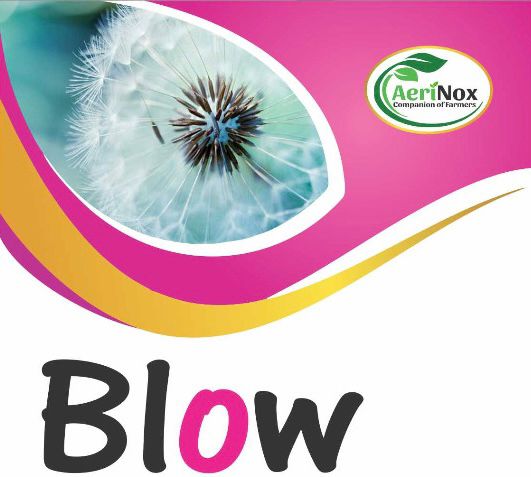 Blow Device mark 6734406 Trademark