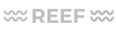 Reef Device mark 6736654 Trademark