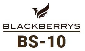 Blackberrys Bs-10 Along With Bird Device Device mark 6740100 Trademark