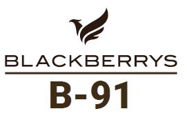 Blackberrys B-91 Along With Bird Device Device mark 6740098 Trademark