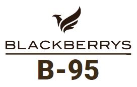 Blackberrys B-95 Along With Bird Device Device mark 6740099 Trademark