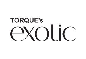 Torque's Exotic Device mark 6740802 Trademark
