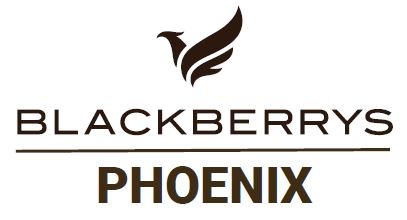 Blackberrys Phoenix Along With Bird Device Device mark 6742536 Trademark