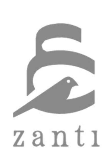 Zanti Device mark 6742935 Trademark