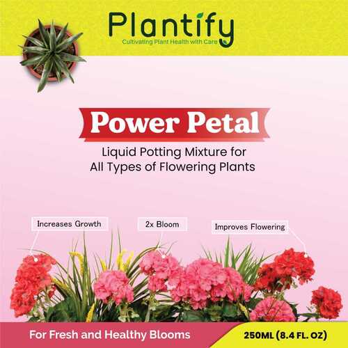 Power Petal Device mark 6748550 Trademark