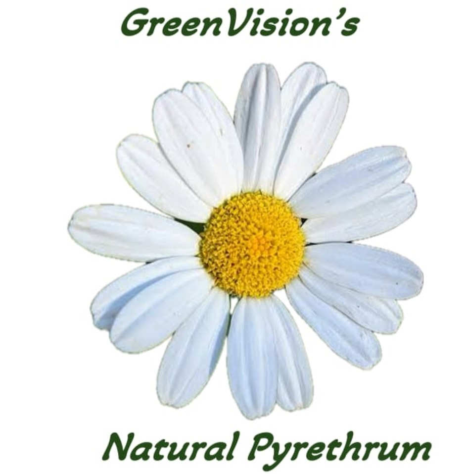 Green Vision's Natural Pyrethrum Device mark 6752536 Trademark